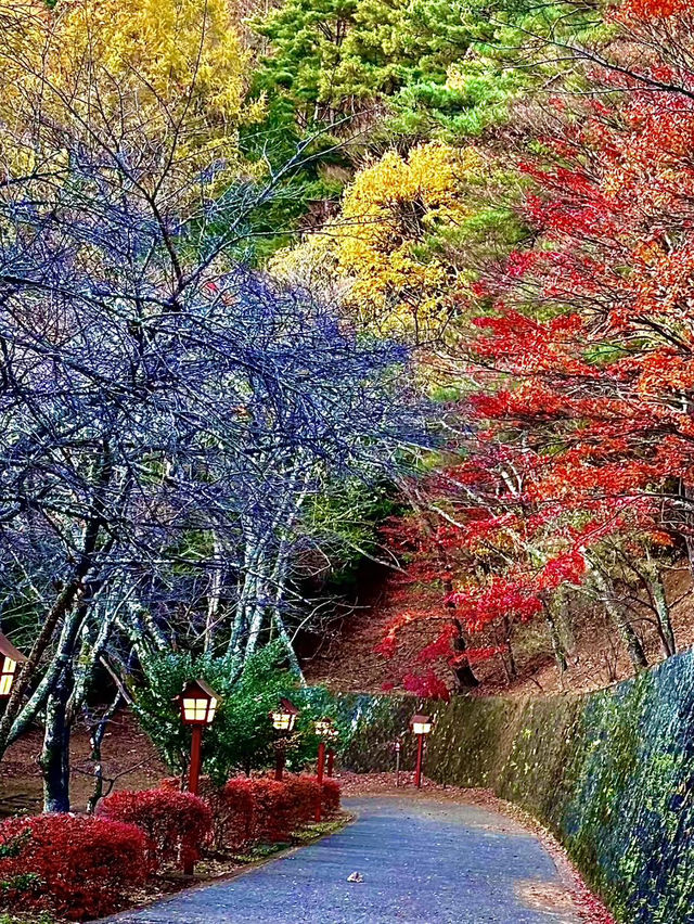 โอซาก้า🇯🇵