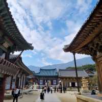 A Day at Tongdosa