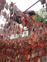 Timeless Alleys on a Budget: Exploring Qibao Old Street