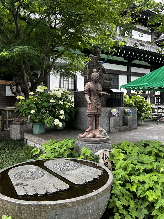 えっ、長谷寺って、紫陽花だけじゃないの？🇯🇵✈️🌎