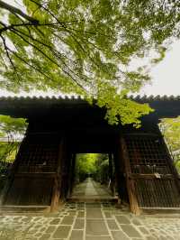 仙台　輪王寺に行くべき5つの理由🇯🇵✈️🌎