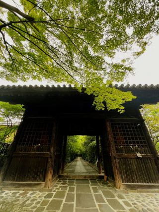 5 Reasons to Visit Rinnoji Temple in Sendai