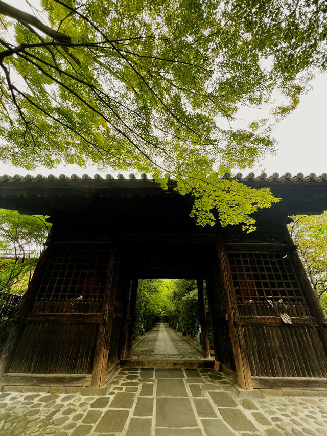 仙台　輪王寺に行くべき5つの理由🇯🇵✈️🌎