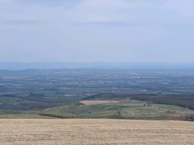 【日本一広いナイタイ牧場で、絶景＆グルメを堪能】