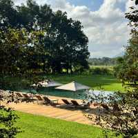 Sri Lanka's Underrated Heritage Hotel: A Truly Harmonious Escape! 🌿✨