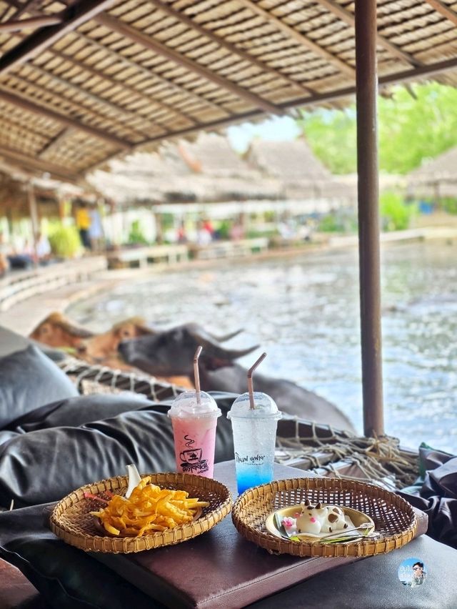 กินแฟ ดูฟาย สโลว์ไลฟ์ไปกับน้องควาย ณ หมู่บ้านอนุรั