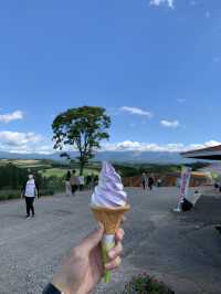 【北海道🇯🇵】道央の四季彩の丘へ💐