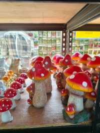 Secret Garden Cafe in Desaru: Budget Daydream Come True