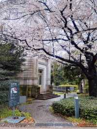 Tokyo National Museum – A Journey Through Japan’s Artistic Legacy  