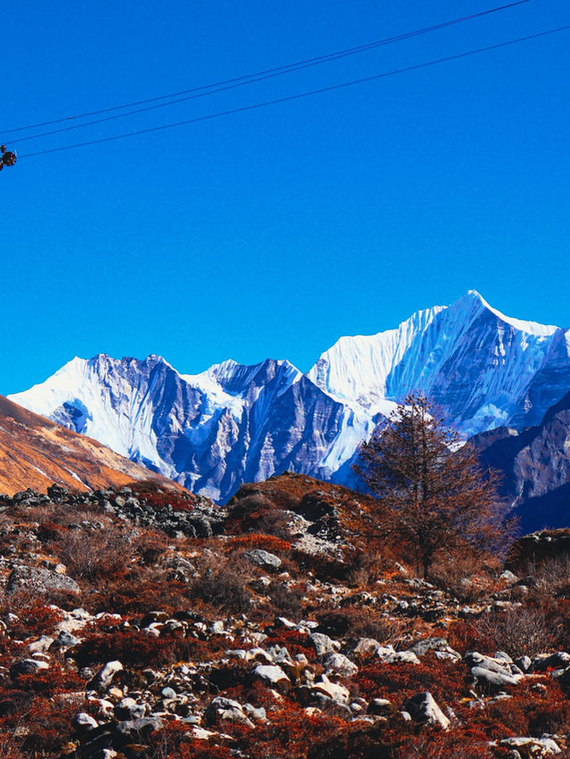 Langtang Valley, rich history of Tibetan culture 