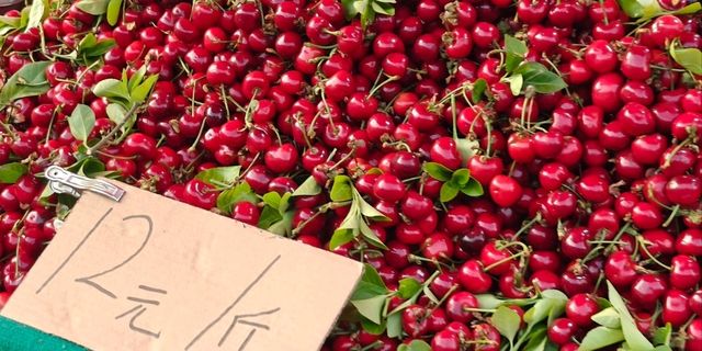 Shenyang Xiaoheyan Morning Market in summer (june)!