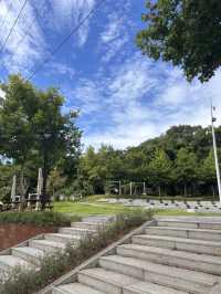 🍃 桃園大有梯田公園簡介