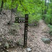 Hidden Gem Alert, Hwangaksan