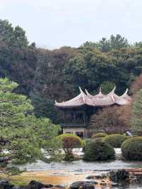 Shinjuku Gyoen National Garden – Tokyo’s Tranquil Heartbeat