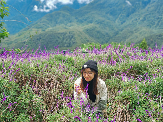 🌄 Moana Café Sapa – Coffee with a View (and a Lot of Photo Ops!) ☕📸