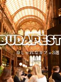 【世界一美しいカフェがある国ハンガリー🇭🇺のおすすめカフェ3選】