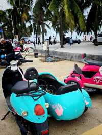 Hainan, where you enjoy the sea, animal, shopping