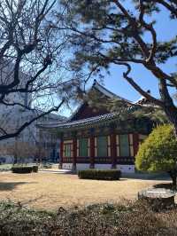 Daegu – เมืองเงียบ ๆ แต่เท่ มีอะไรให้ค้นหาเพียบ!