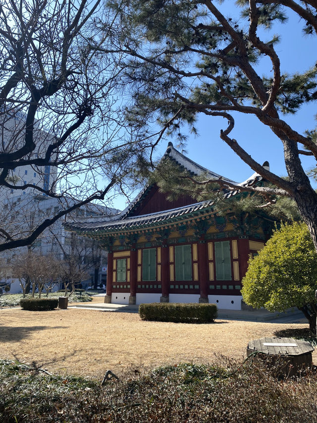 Daegu – เมืองเงียบ ๆ แต่เท่ มีอะไรให้ค้นหาเพียบ!