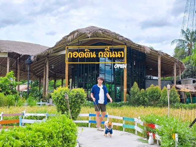 💚 ปักหมุดคาเฟ่และร้านอาหารย่านพระรามห้า