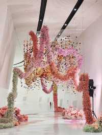 【ソウル🇰🇷東大門】DDP Museumで期間限定展示💐