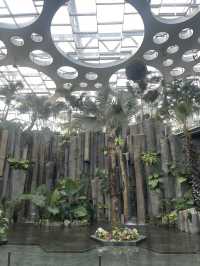 Shanghai Greenhouse Garden🌴