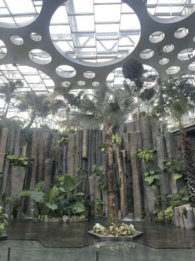 Shanghai Greenhouse Garden🌴