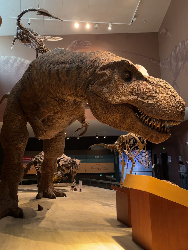 Shanghai Natural History Museum 🦁🦖🦕