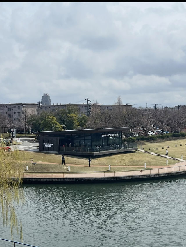 水と緑に癒される富山のオアシス🌿 富岩運河環水公園で過ごす静かな時間