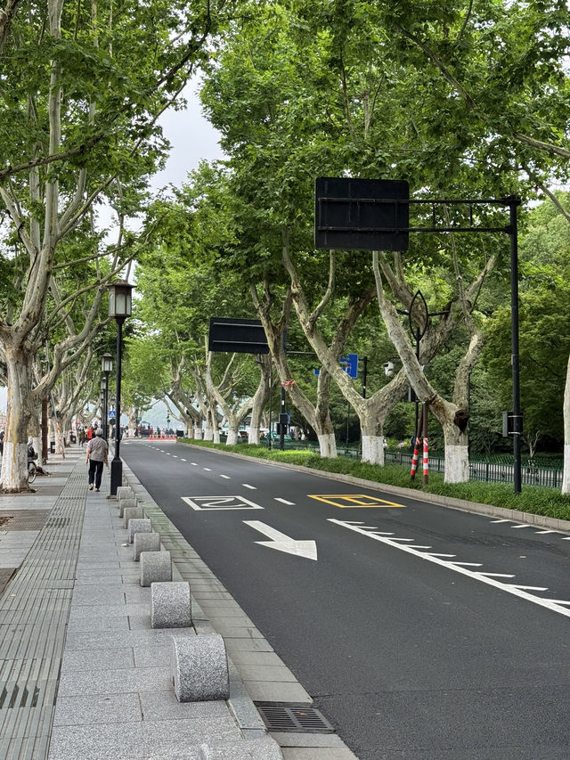 🌸 Discovering the Charm of Hangzhou 🌸