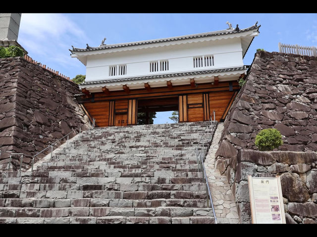 🏯歴史と絶景の融合！甲府城（舞鶴城公園）で戦国ロマンに浸る旅🌸