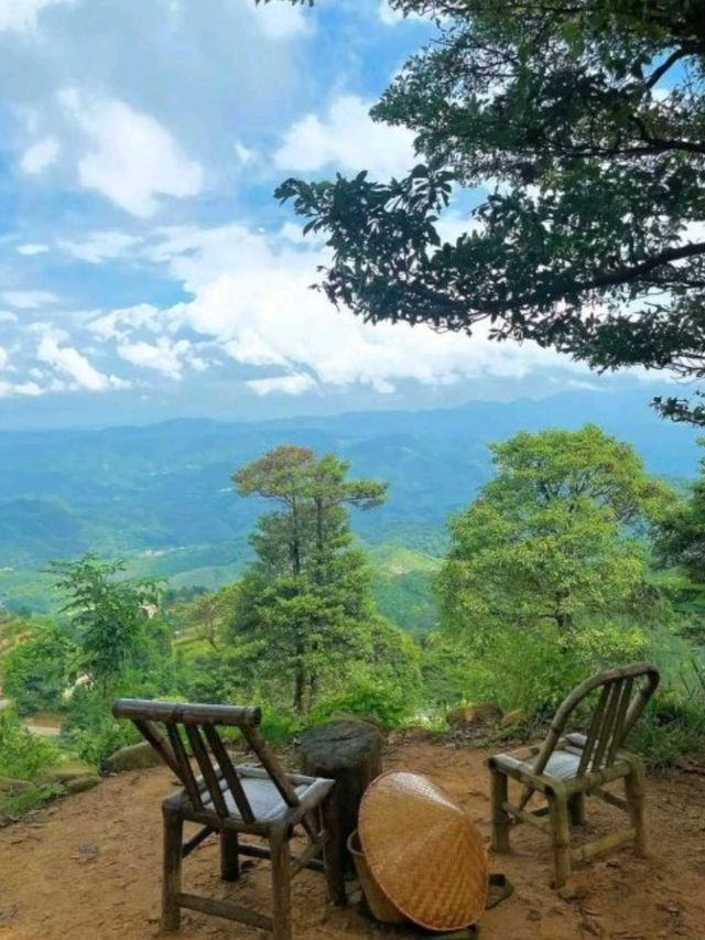 🌳🛖被問爆的清遠大羅山網紅民宿
