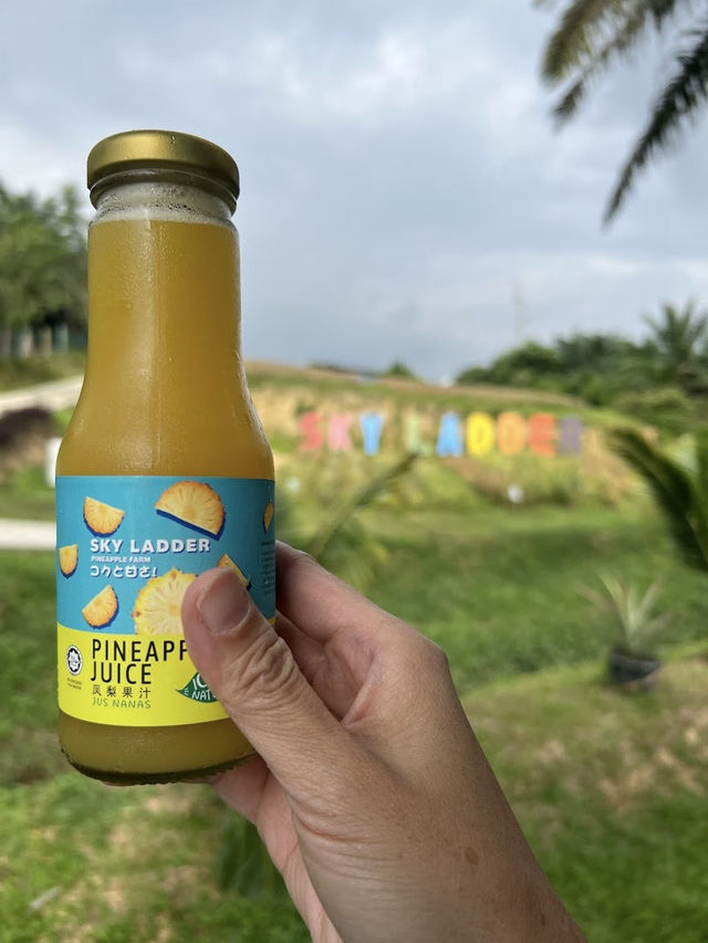 Sky Ladder Pineapple Farm, A Sweet Slice of Agro-Tourism in Port Dickson