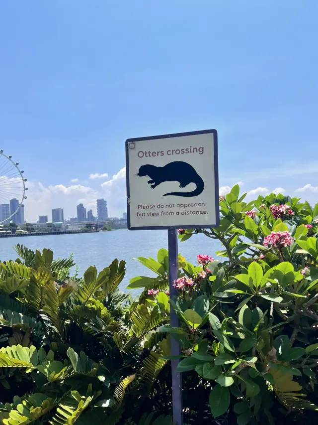 How I spent 1 day in Singapore