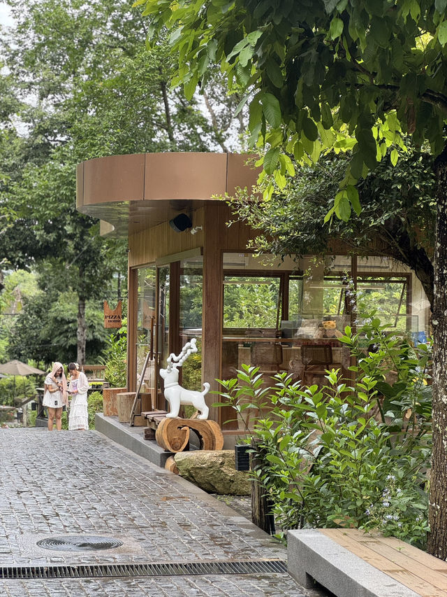 คาเฟ่เชียงใหม่ที่ไม่ควรพลาดต้องที่นี่ WTF Cafe ⛰️