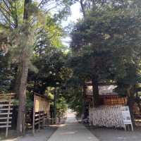 【平塚】アヒルの神様がいる神社🪿平塚八幡宮🇯🇵