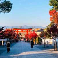 朱色の鳥居に包まれた心の旅