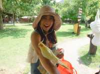 Alpaca Hill อ. สวนผึ้ง จ. ราชบุรี
