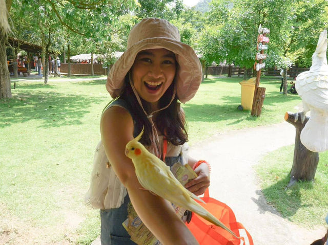 Alpaca Hill อ. สวนผึ้ง จ. ราชบุรี