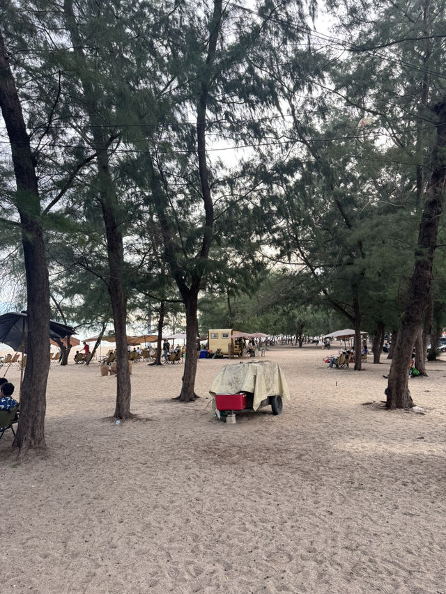 หาดแหลมเจริญ สายมินิมอลนั่งชิลแนะนำที่นี่เลยย ✨
