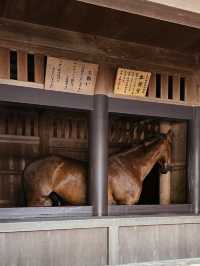 伊勢神宮內宮漫步記，馬匹、神社與清潭水🐎⛩️💧