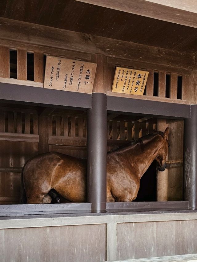 伊勢神宮內宮漫步記，馬匹、神社與清潭水🐎⛩️💧