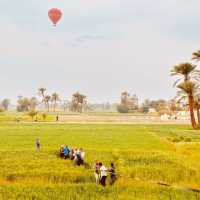 Pyramids & Paradise: Your Ultimate Egyptian Summer Adventure Awaits!** ☀️𓂀   