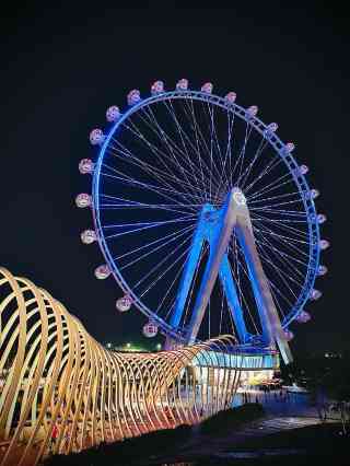 Shenzhen Bay Glory Ferris Wheel: Iconic Giant Ferris Wheel in