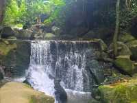 Tarn Magic Garden