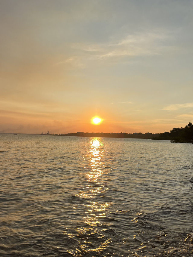 🌴達爾文市區小眾一日遊｜沒人搶拍的港口城市風，漫步立法廳、公園、海灘與老街🌊🌿