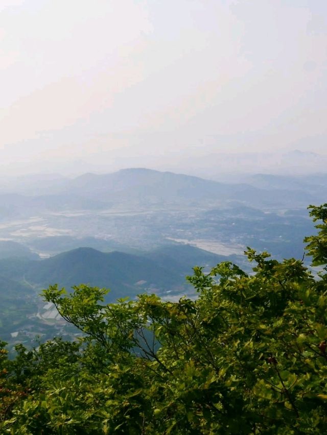 Accidentally Climbed a Mountain, Had the Time of My Life