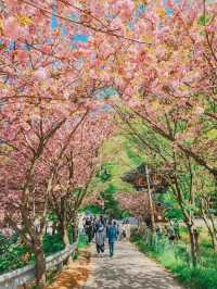 Flower Park at Munsu Temple