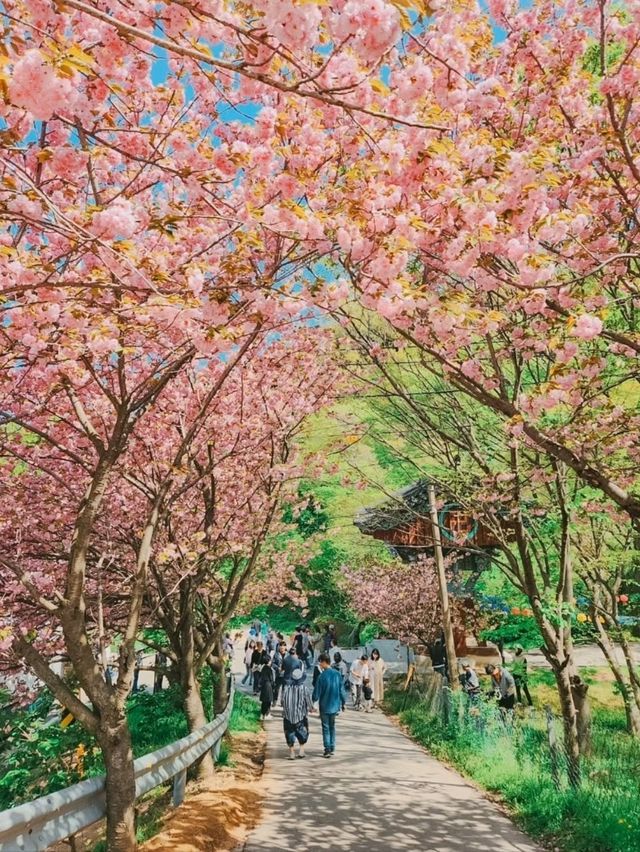 Flower Park at Munsu Temple