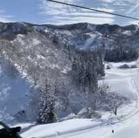 【新潟/魚沼🇯🇵】冬が待ち遠しい☃❄舞子スノーリゾート